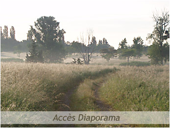 Entretien et cration de jardins